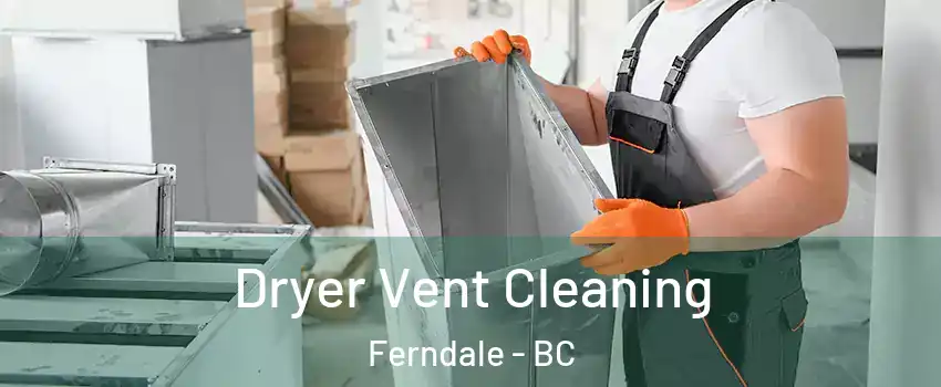  Dryer Vent Cleaning Ferndale - BC