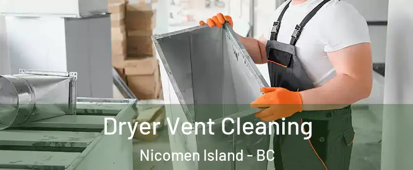  Dryer Vent Cleaning Nicomen Island - BC