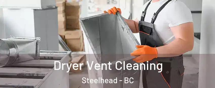  Dryer Vent Cleaning Steelhead - BC