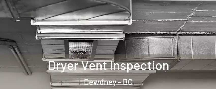  Dryer Vent Inspection Dewdney - BC