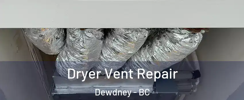  Dryer Vent Repair Dewdney - BC