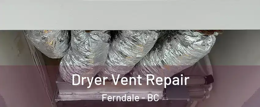 Dryer Vent Repair Ferndale - BC