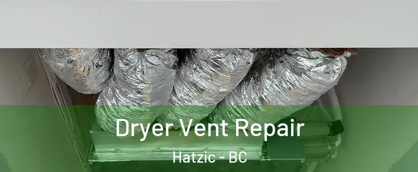  Dryer Vent Repair Hatzic - BC