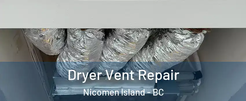  Dryer Vent Repair Nicomen Island - BC