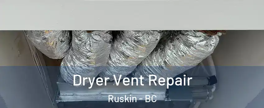  Dryer Vent Repair Ruskin - BC