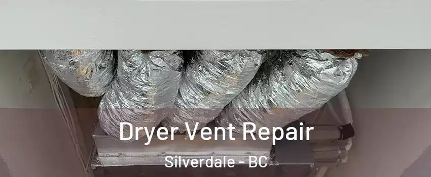  Dryer Vent Repair Silverdale - BC