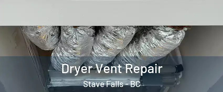  Dryer Vent Repair Stave Falls - BC