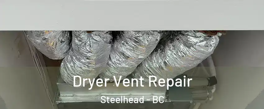  Dryer Vent Repair Steelhead - BC