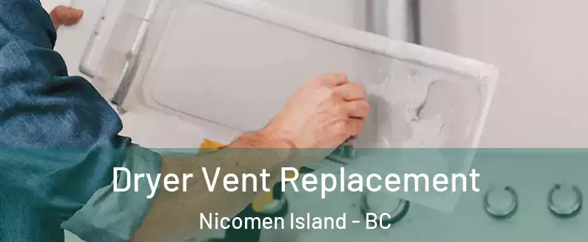  Dryer Vent Replacement Nicomen Island - BC