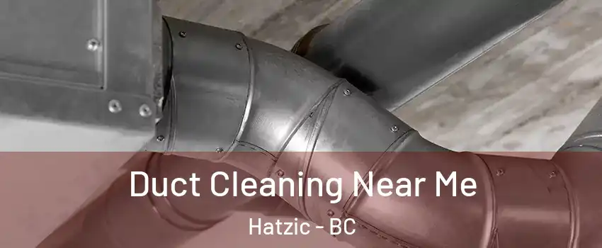  Duct Cleaning Near Me Hatzic - BC