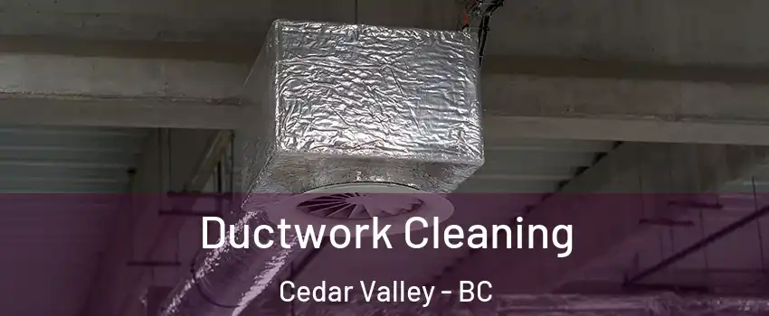  Ductwork Cleaning Cedar Valley - BC