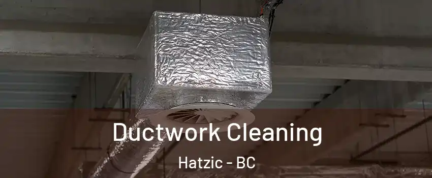  Ductwork Cleaning Hatzic - BC