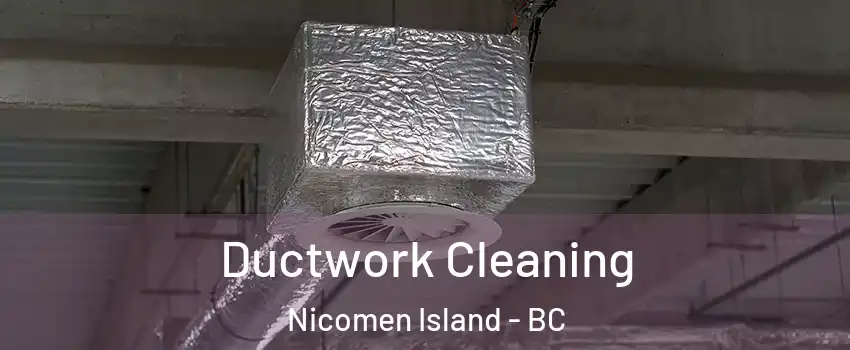  Ductwork Cleaning Nicomen Island - BC