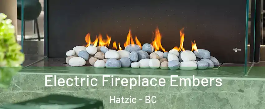  Electric Fireplace Embers Hatzic - BC