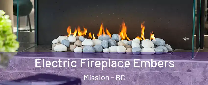  Electric Fireplace Embers Mission - BC
