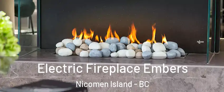  Electric Fireplace Embers Nicomen Island - BC