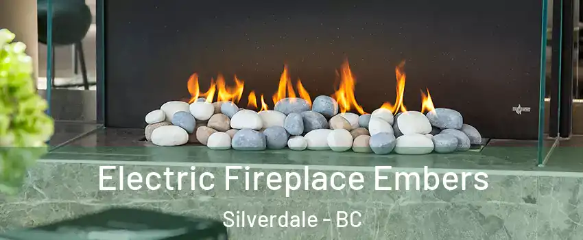  Electric Fireplace Embers Silverdale - BC