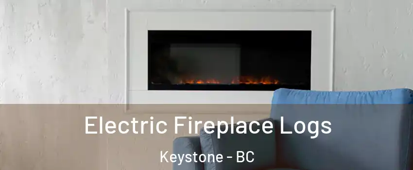  Electric Fireplace Logs Keystone - BC