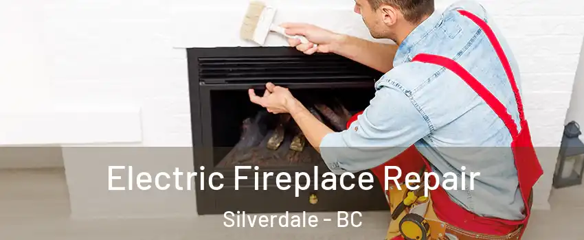  Electric Fireplace Repair Silverdale - BC