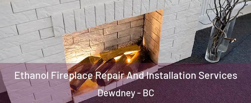  Ethanol Fireplace Repair And Installation Services Dewdney - BC