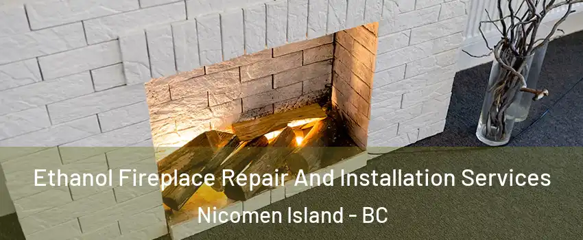  Ethanol Fireplace Repair And Installation Services Nicomen Island - BC
