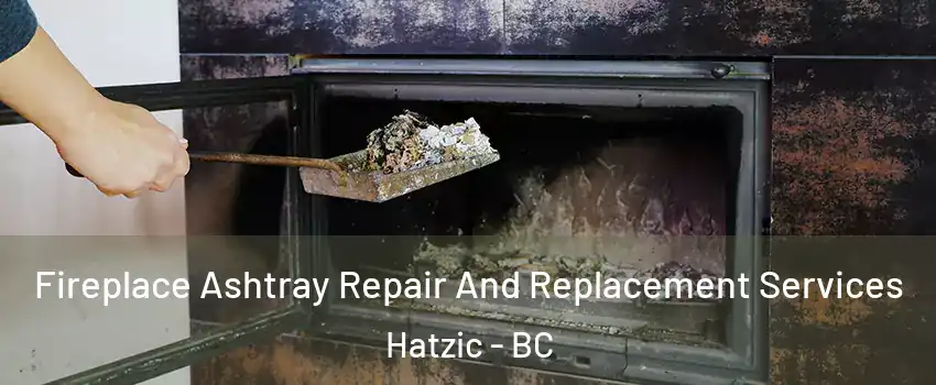  Fireplace Ashtray Repair And Replacement Services Hatzic - BC