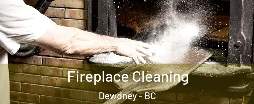  Fireplace Cleaning Dewdney - BC