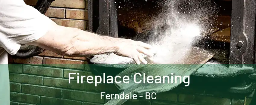  Fireplace Cleaning Ferndale - BC
