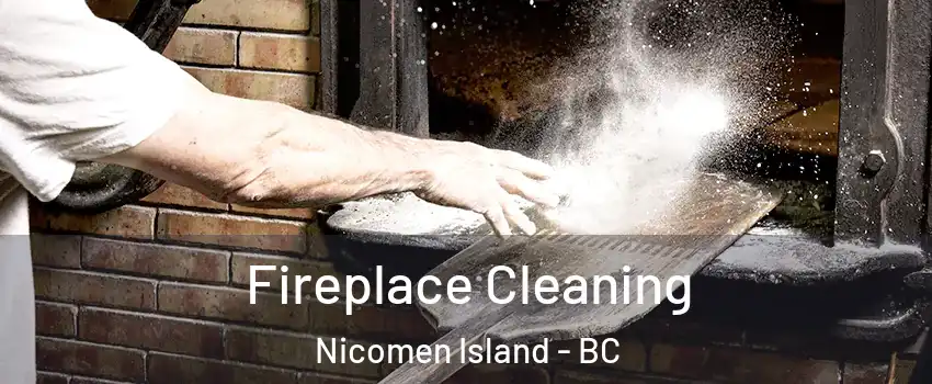 Fireplace Cleaning Nicomen Island - BC