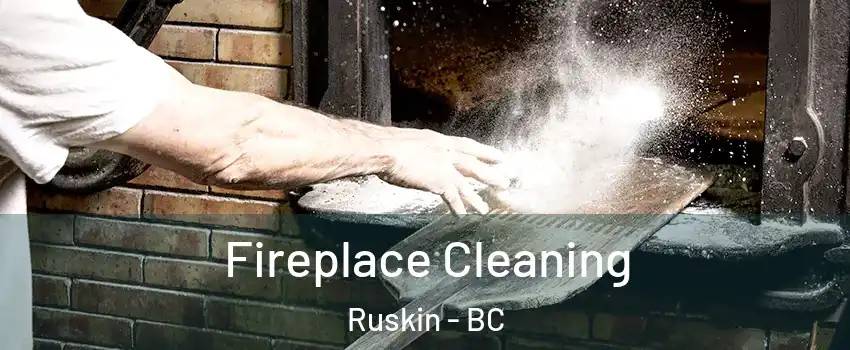  Fireplace Cleaning Ruskin - BC