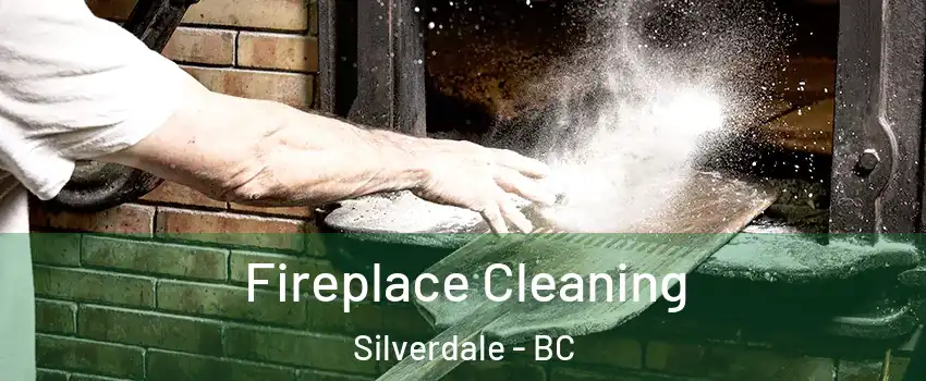  Fireplace Cleaning Silverdale - BC