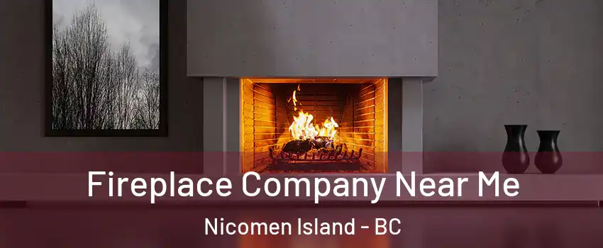 Fireplace Company Near Me Nicomen Island - BC