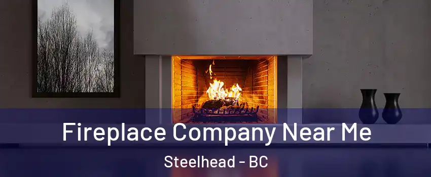  Fireplace Company Near Me Steelhead - BC