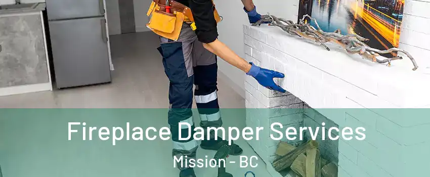 Fireplace Damper Services Mission - BC