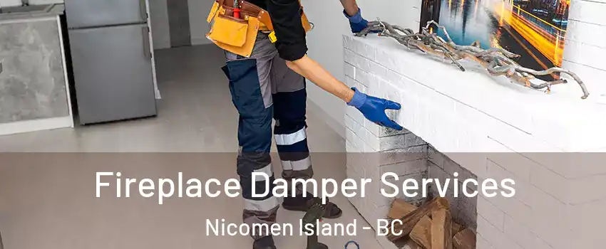 Fireplace Damper Services Nicomen Island - BC