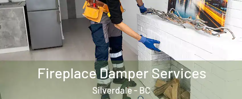 Fireplace Damper Services Silverdale - BC