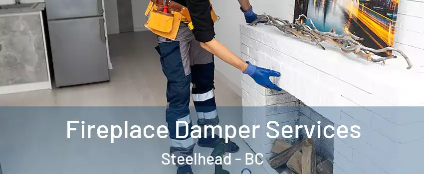 Fireplace Damper Services Steelhead - BC