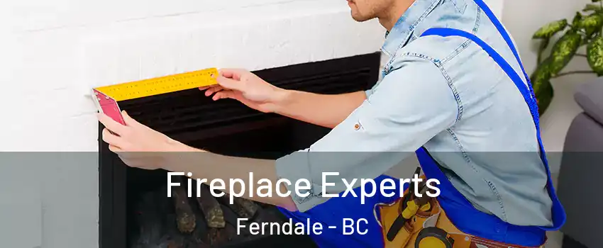  Fireplace Experts Ferndale - BC