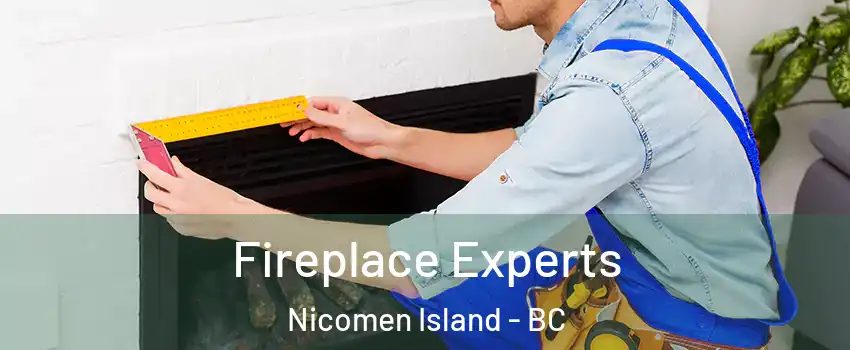 Fireplace Experts Nicomen Island - BC