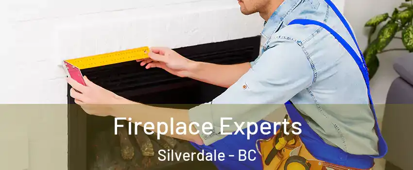  Fireplace Experts Silverdale - BC
