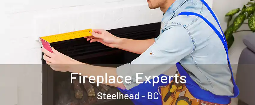  Fireplace Experts Steelhead - BC