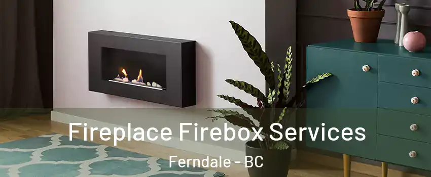  Fireplace Firebox Services Ferndale - BC