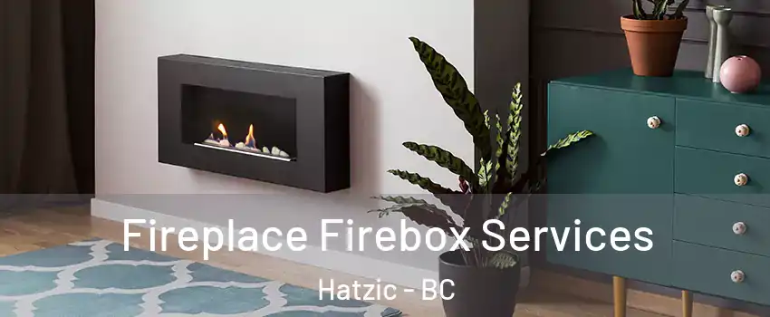  Fireplace Firebox Services Hatzic - BC