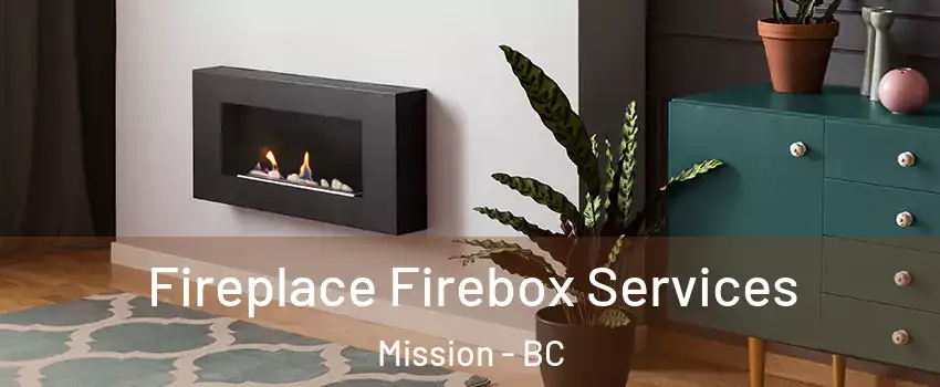  Fireplace Firebox Services Mission - BC
