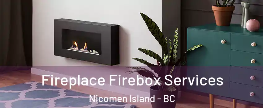  Fireplace Firebox Services Nicomen Island - BC