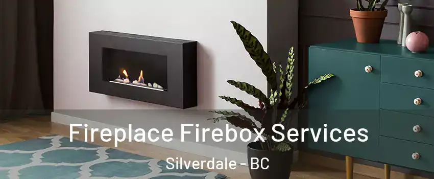  Fireplace Firebox Services Silverdale - BC