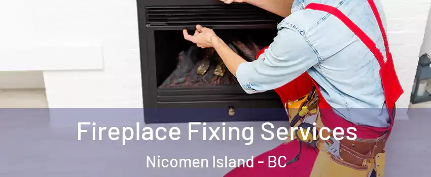  Fireplace Fixing Services Nicomen Island - BC