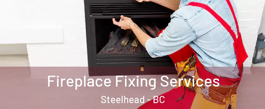  Fireplace Fixing Services Steelhead - BC