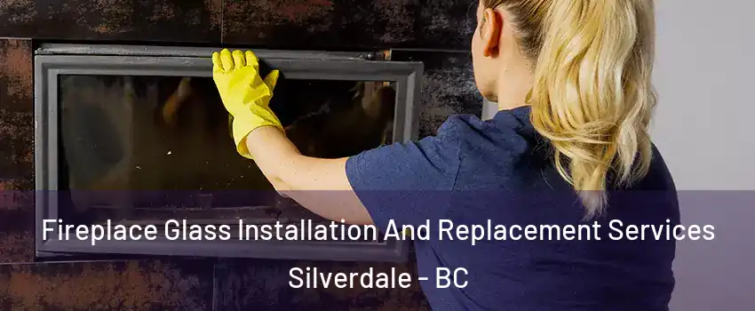  Fireplace Glass Installation And Replacement Services Silverdale - BC