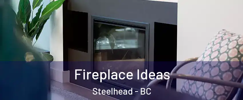  Fireplace Ideas Steelhead - BC